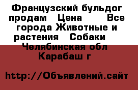 Французский бульдог продам › Цена ­ 1 - Все города Животные и растения » Собаки   . Челябинская обл.,Карабаш г.